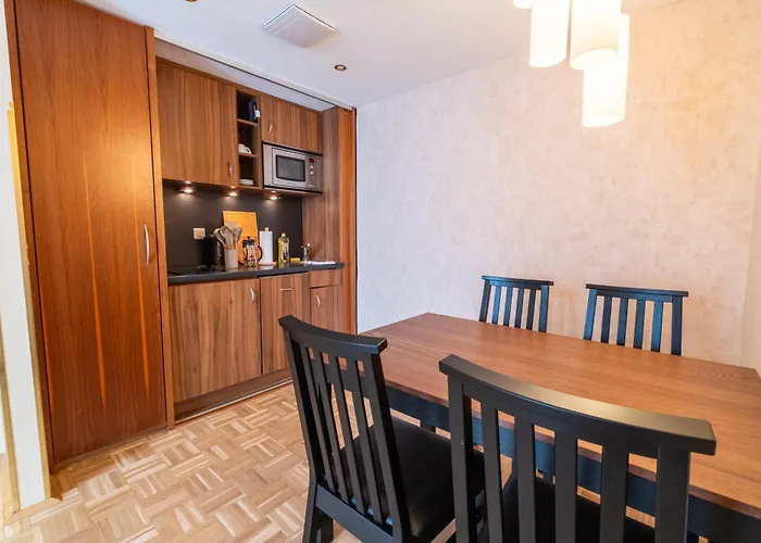 Opera Living Residences - Center 公寓 维也纳