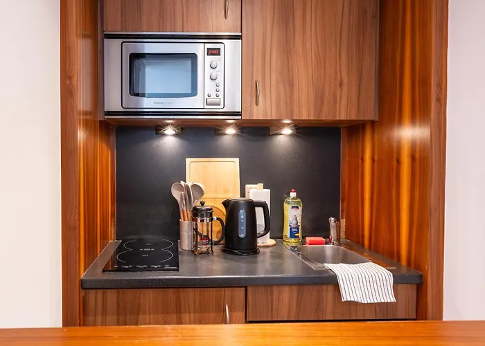 公寓 Opera Living Residences - Center 维也纳